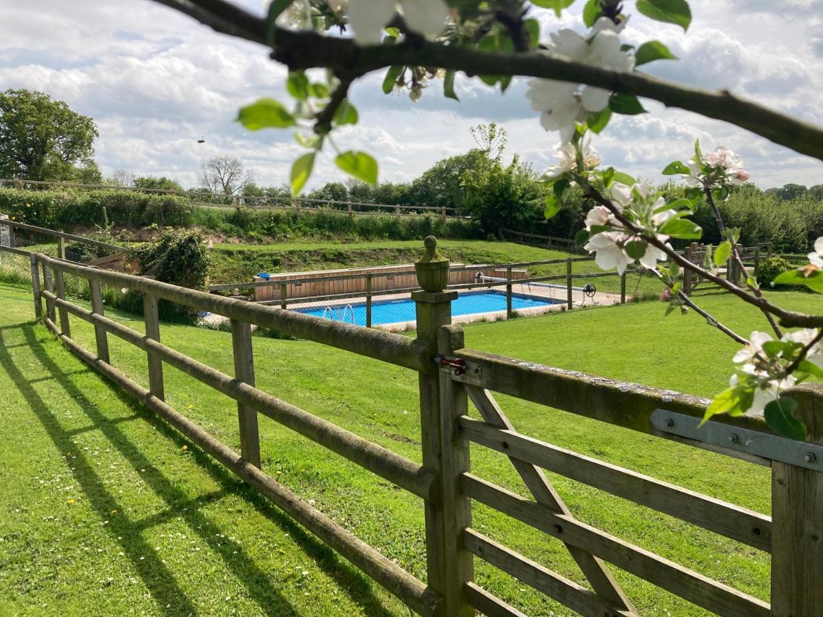 The Shepherd's Hut With Seasonal Swimming Pool * Wrexham