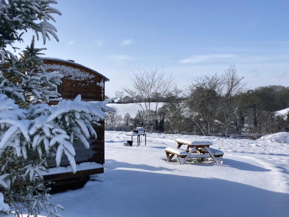 The Shepherd's Hut With Cosy Logburner Apartment Wrexham