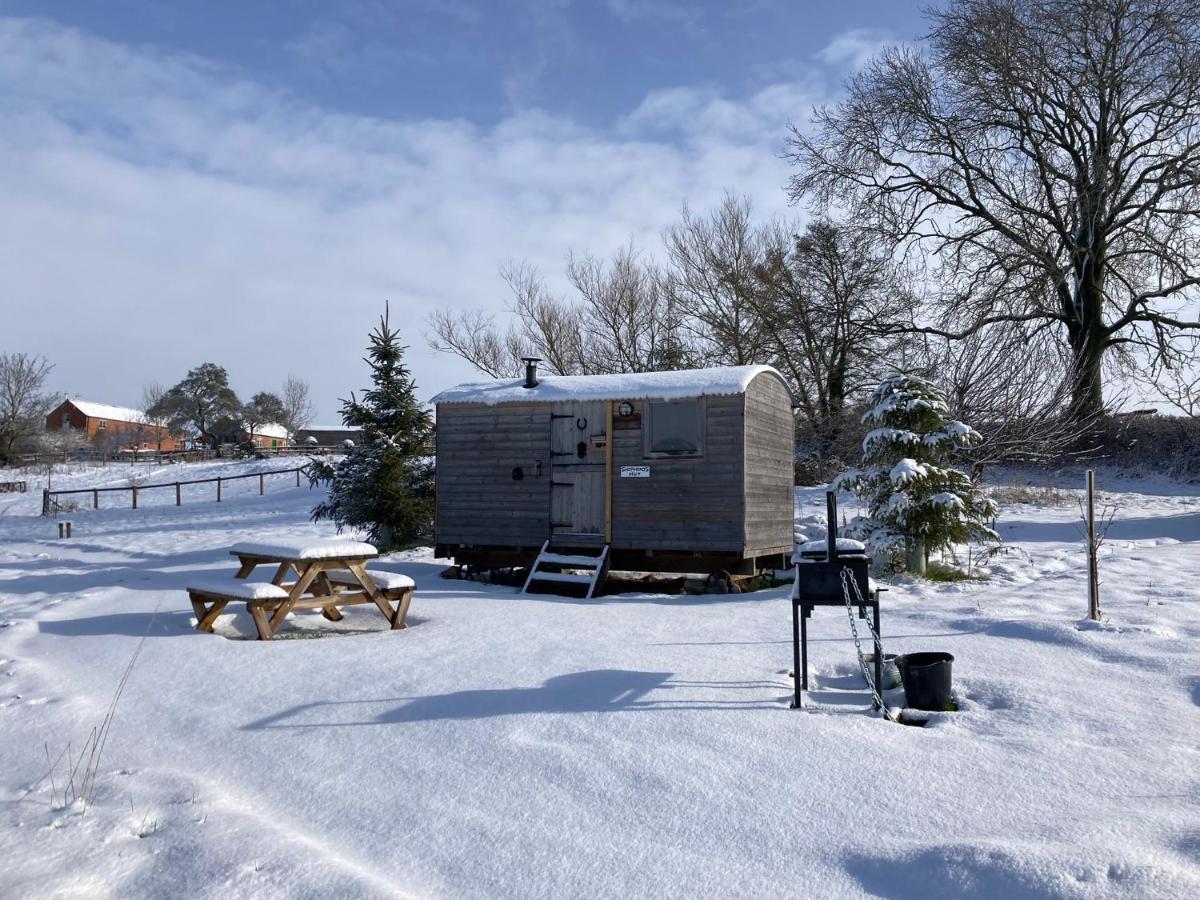The Shepherd's Hut With Seasonal Swimming Pool * Рексем